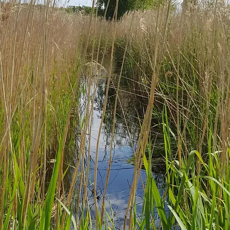 Ferienhaus Haus Wellenrauschen