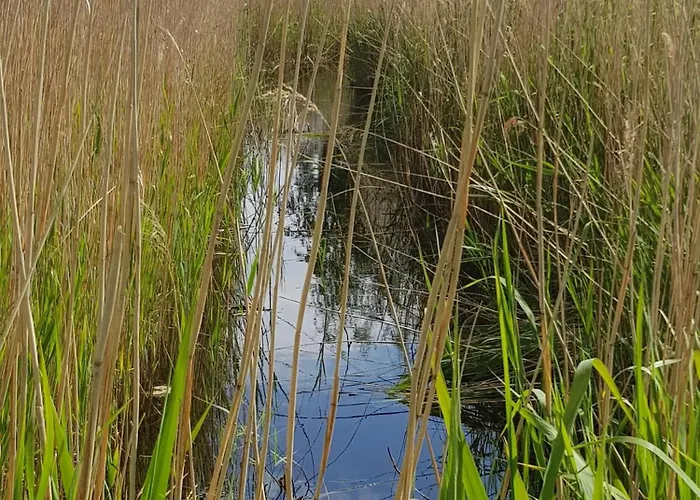Сasa de vacaciones Haus Wellenrauschen