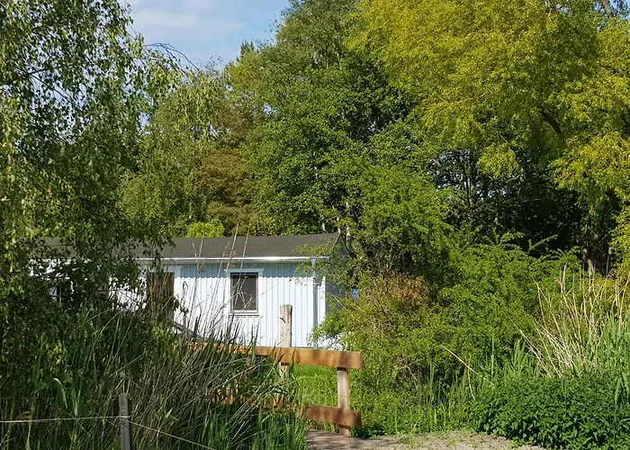 Haus Wellenrauschen * Zingst